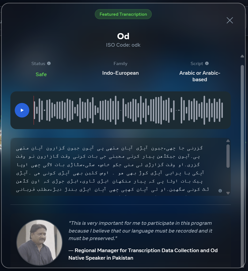 Omnilingual ASR - Screenshot 3 preview