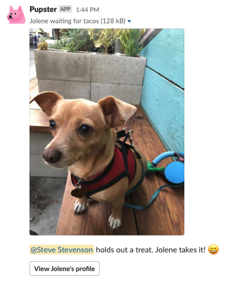 Pupster gallery image