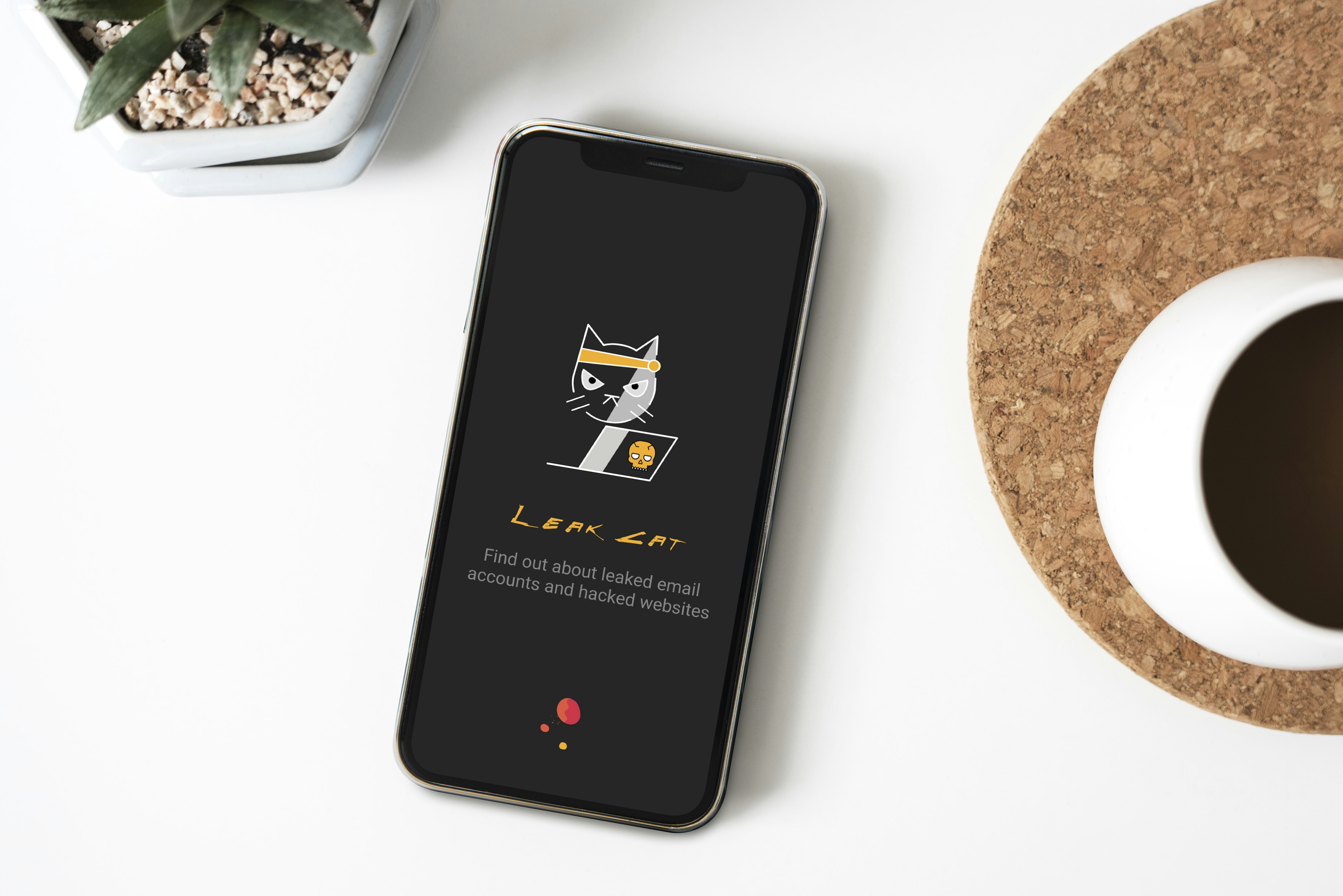 Leakcat gallery image