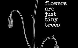 Flowers Are Just Tiny Trees (free eBook) media 2