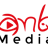 Ant Media Server