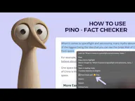 Pino - Fact Checker