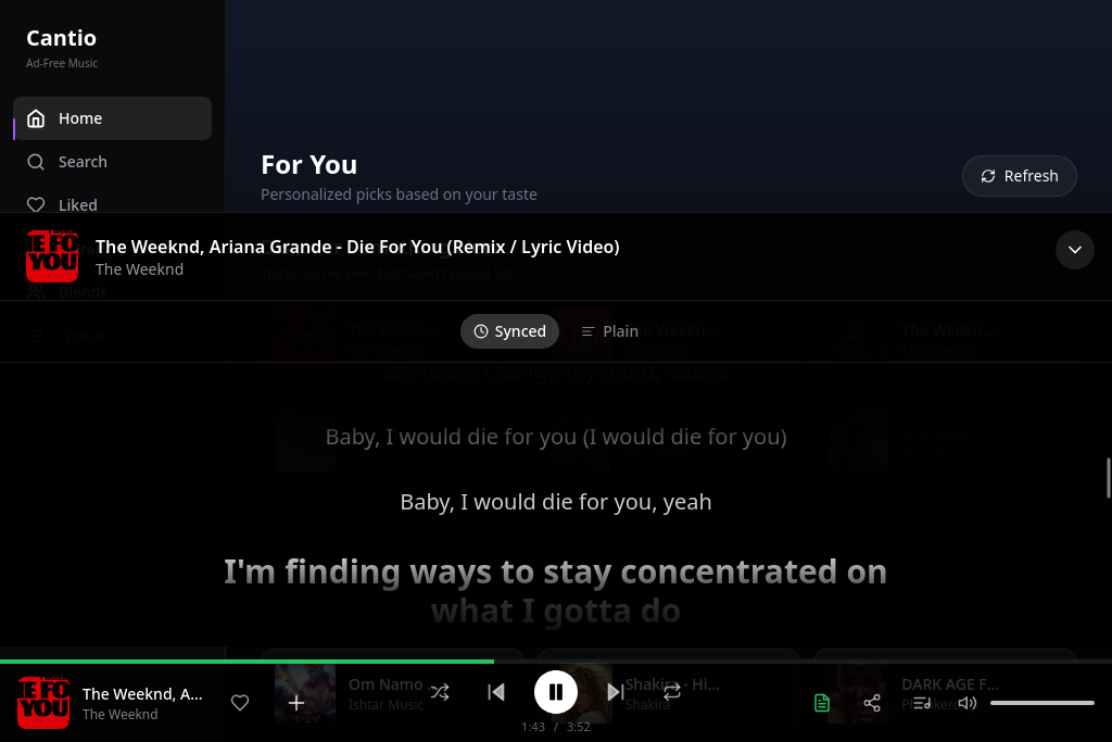 Cantio gallery image