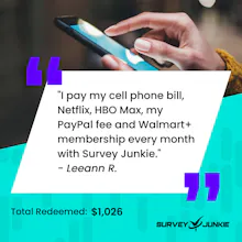Survey Junkie gallery image