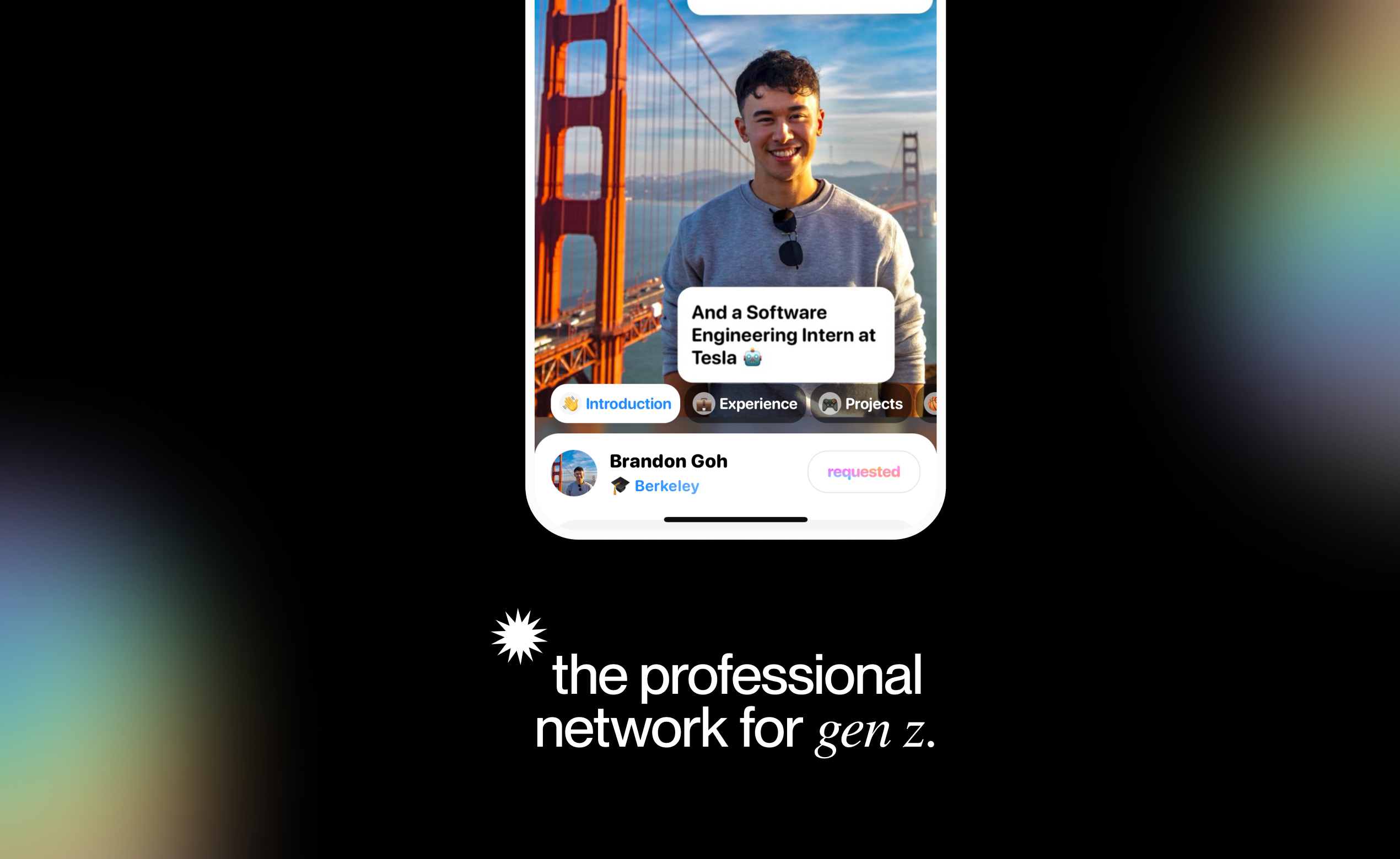 Quả dứa media 1