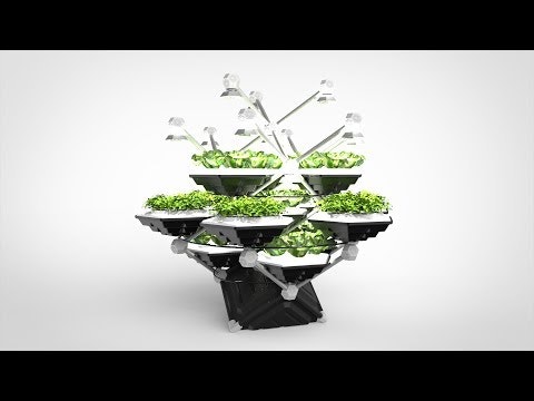 The Living Farming Tree gallery image