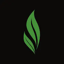 Buy Herbal Tea Online | TeeShop