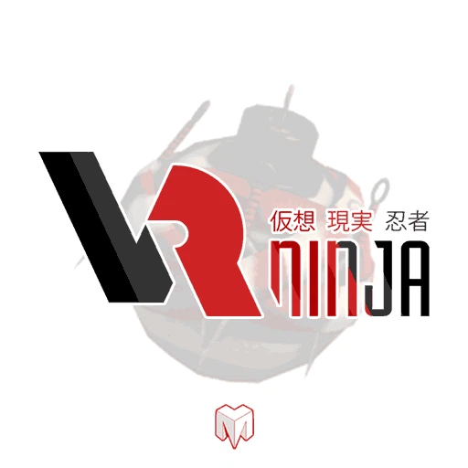 VRNinja