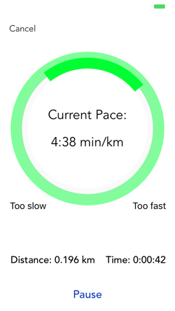 Paceroo gallery image