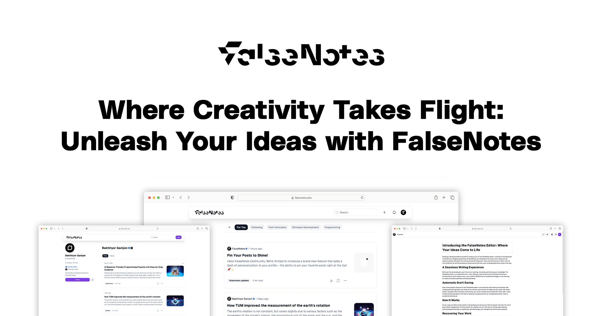 FalseNotes media 1
