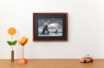 Galari gallery image