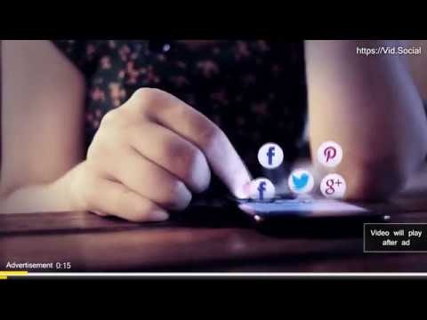 Vid.Social gallery image