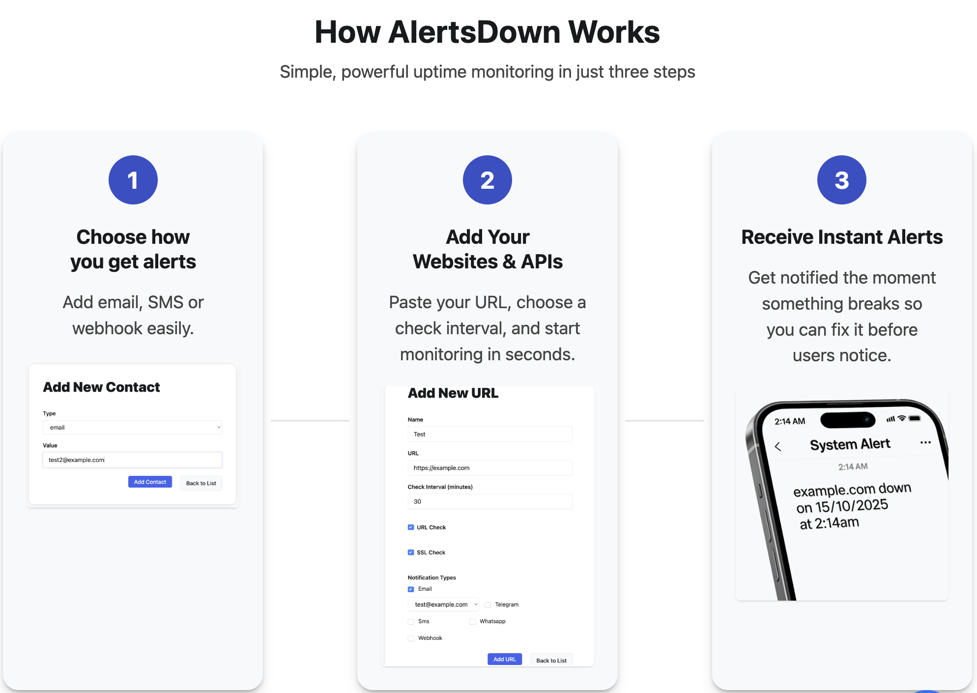 AlertsDown - Screenshot 2 showing product features and functionality