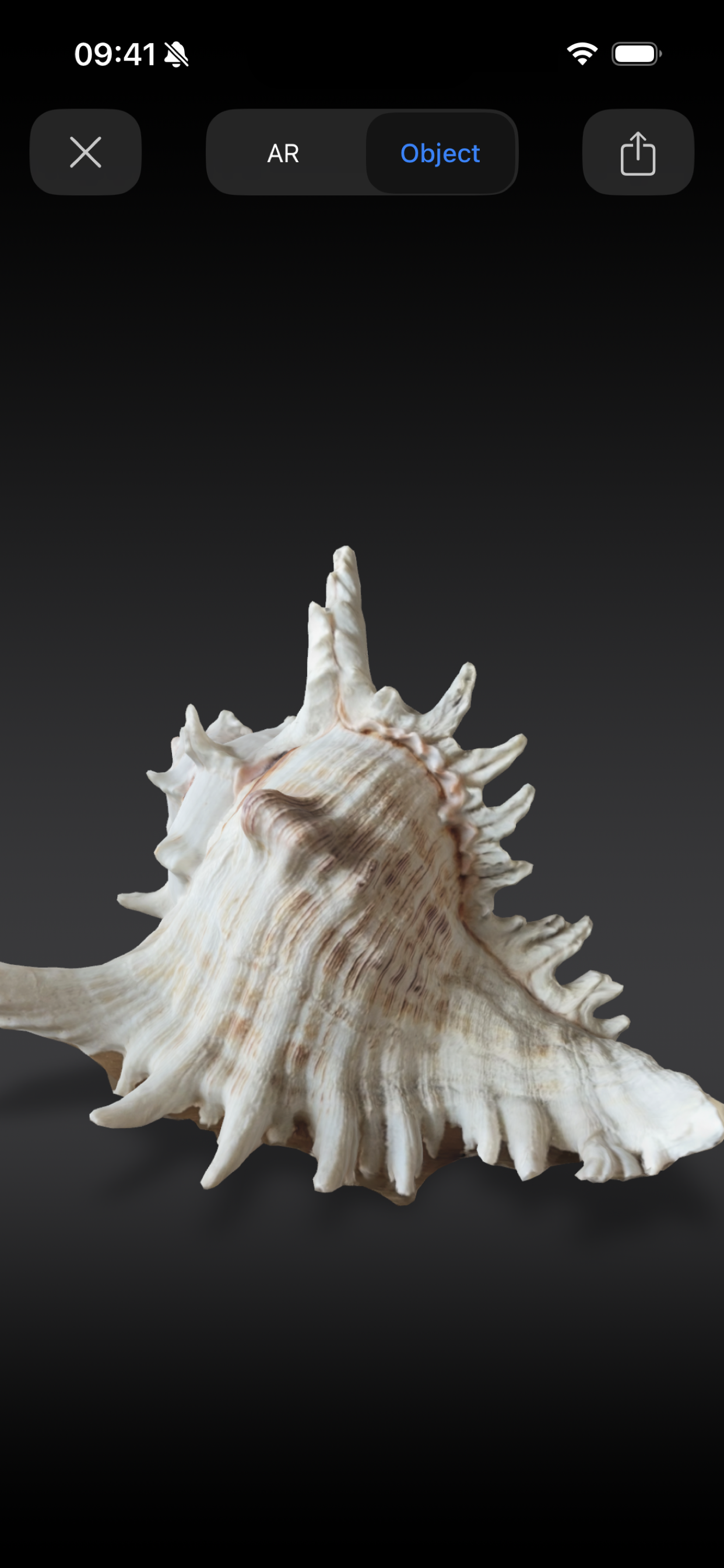 Mídia 6 de 3D Scan Pro - Varredura 3D no nível pró-leão.Acessível a você.