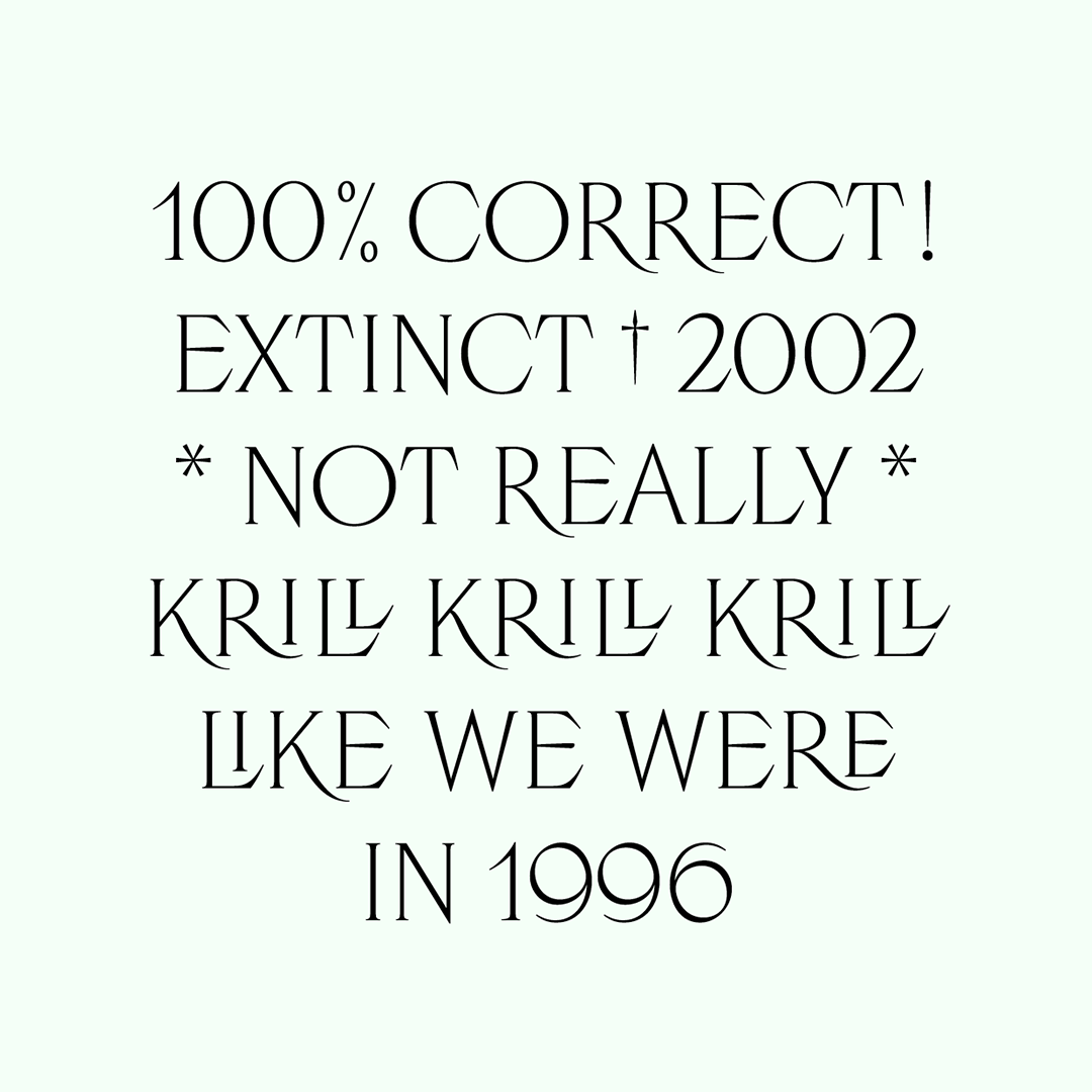 Luperca gallery image