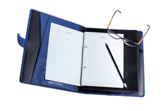 Goldfink gallery image