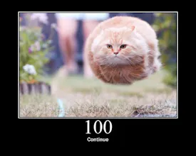 HTTP Status Cats API gallery image
