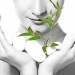 BioNootropics gallery image