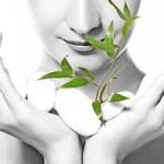 BioNootropics gallery image