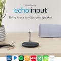 Echo Input