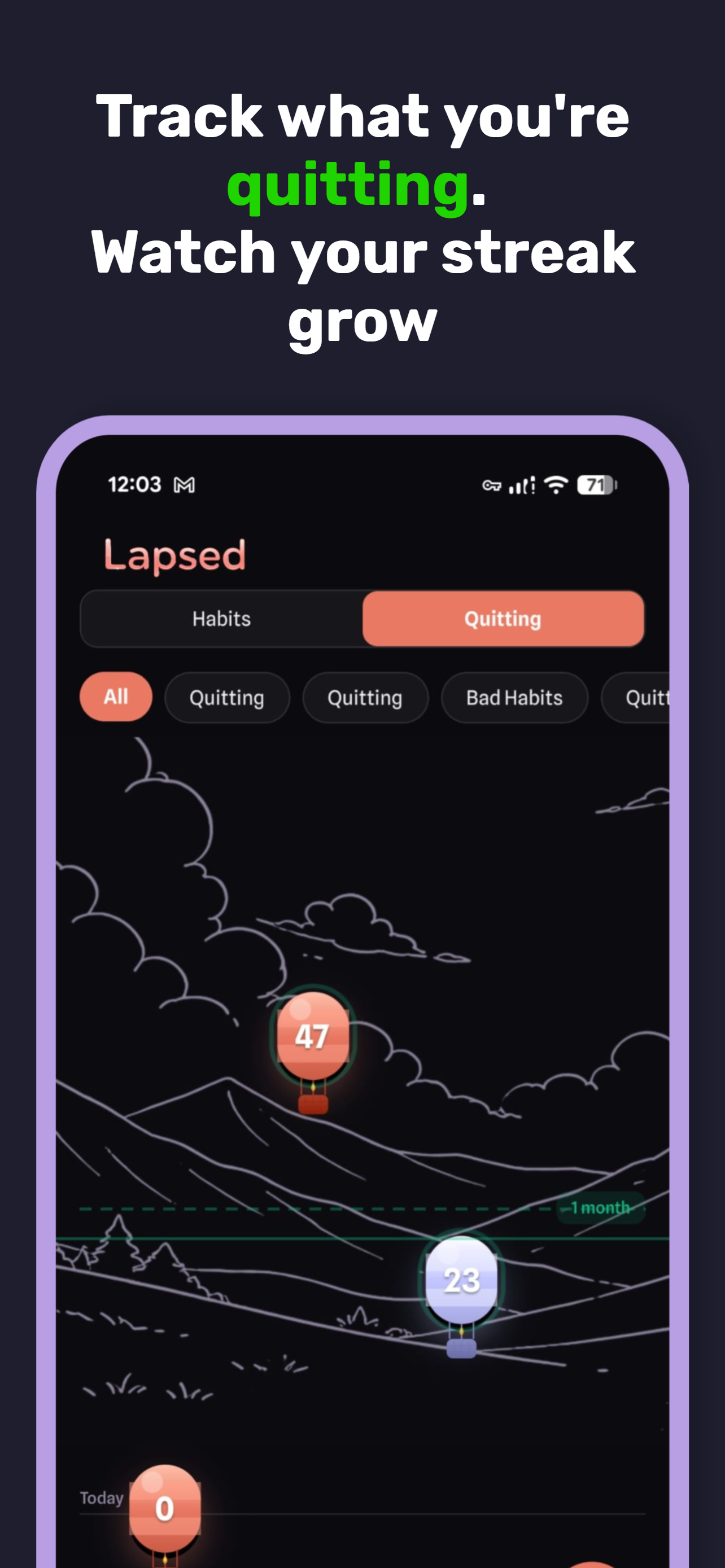 Lapsed: Days Since Tracker gallery image