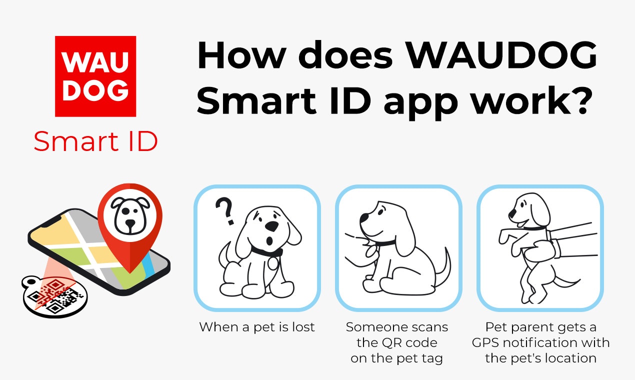 Waudog智能ID应用程序媒体3