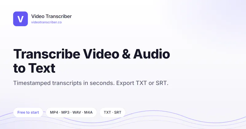 Video Transcriber screenshot 2