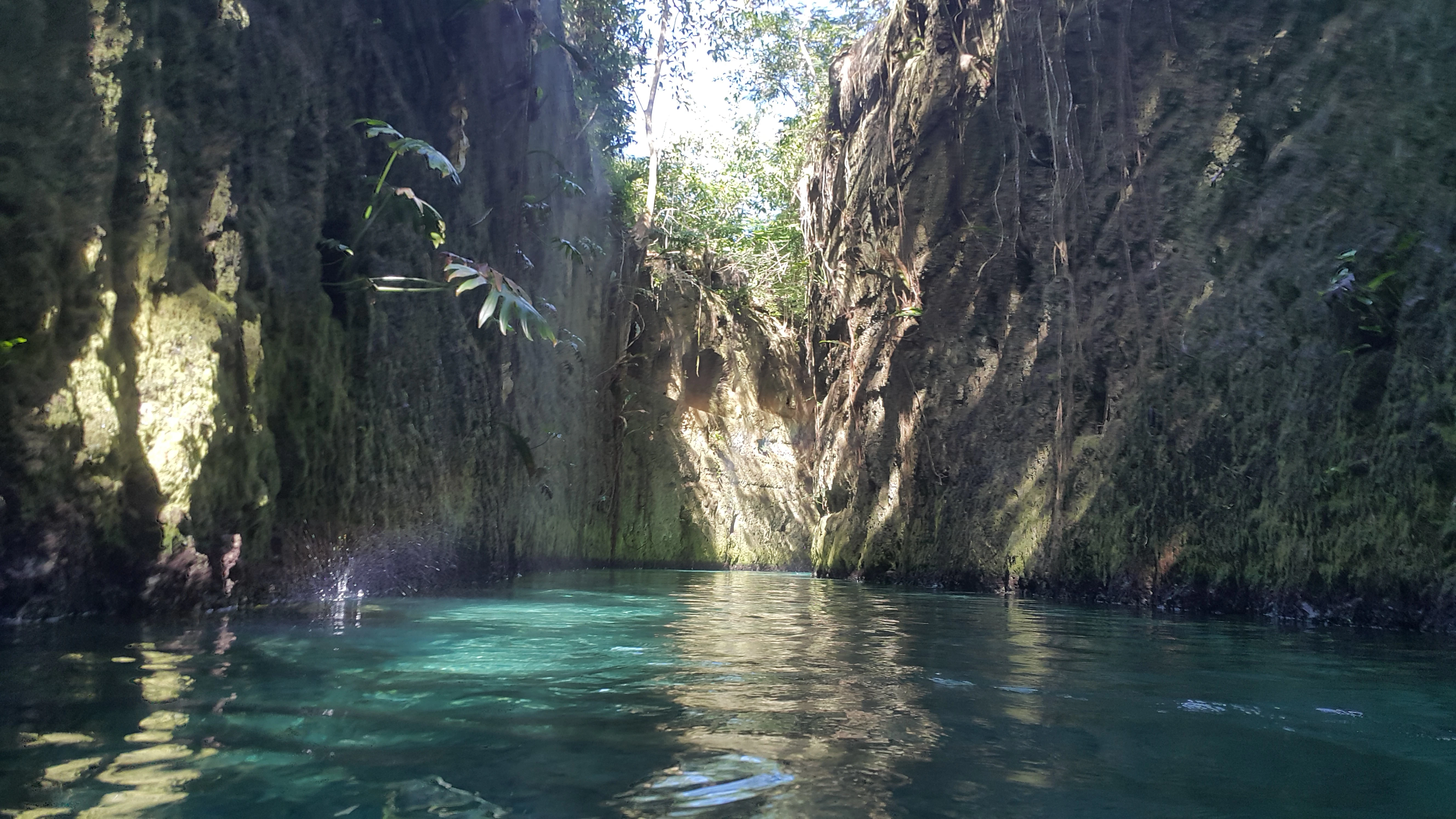 Mark Vecchiarelli cover