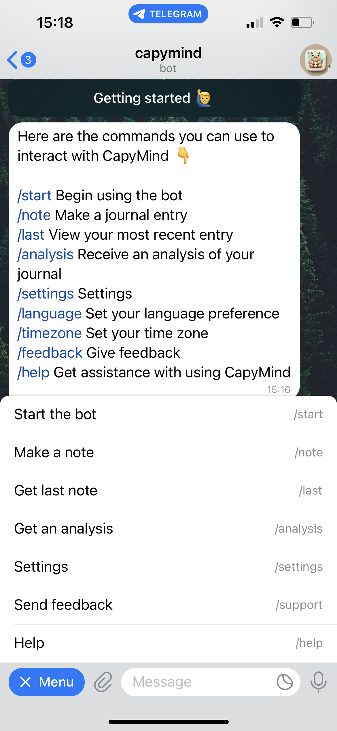 CapyMind media 3