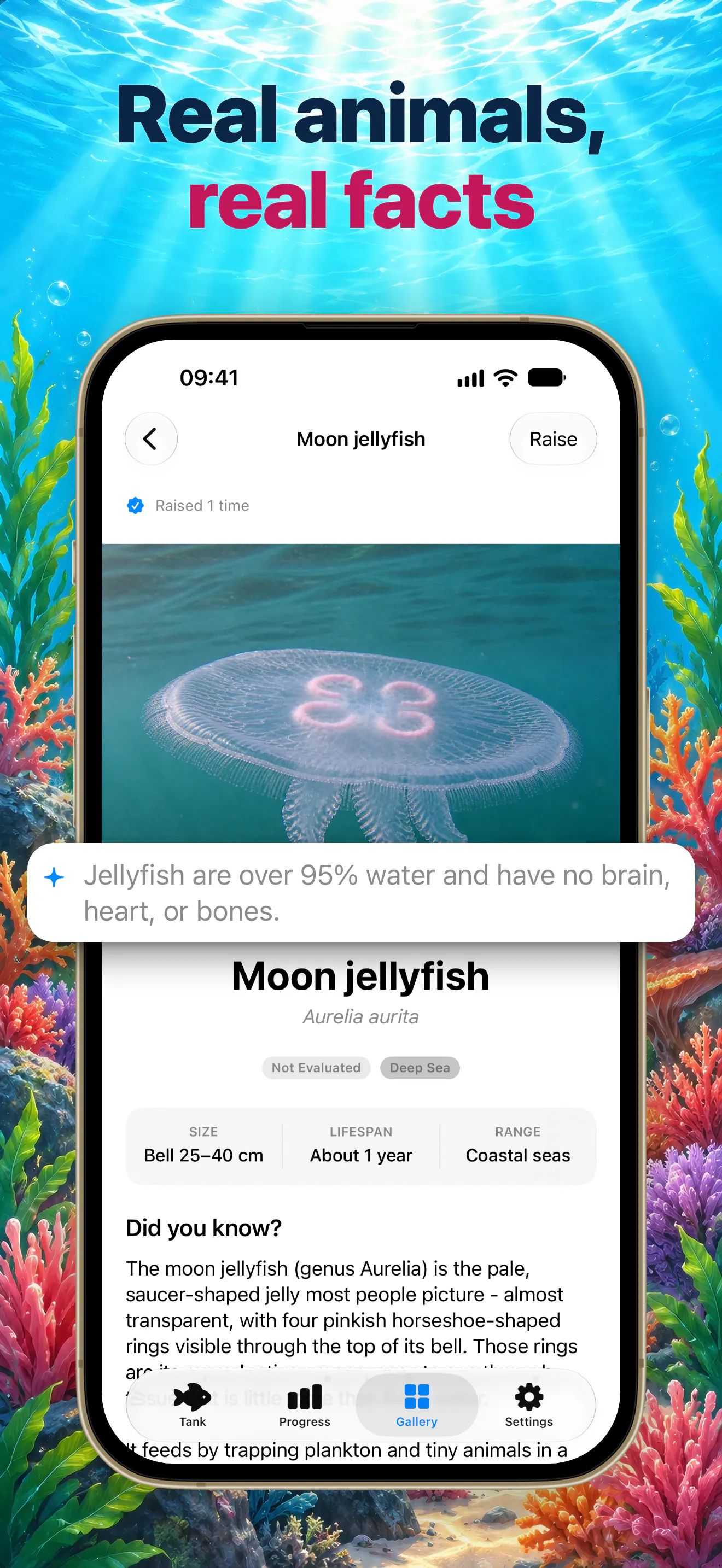 Pixfin: Fish Pet Step Tracker gallery image
