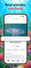 Pixfin: Fish Pet Step Tracker gallery image