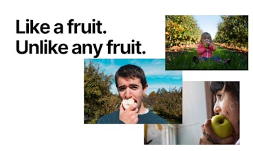 This new year iWish gallery image