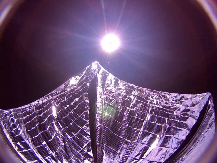 2024 Best Christmas Lightsail - Candy Corliss