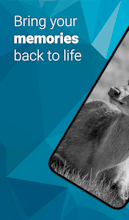 Colorize It gallery image