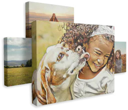 ArtSnappy gallery image