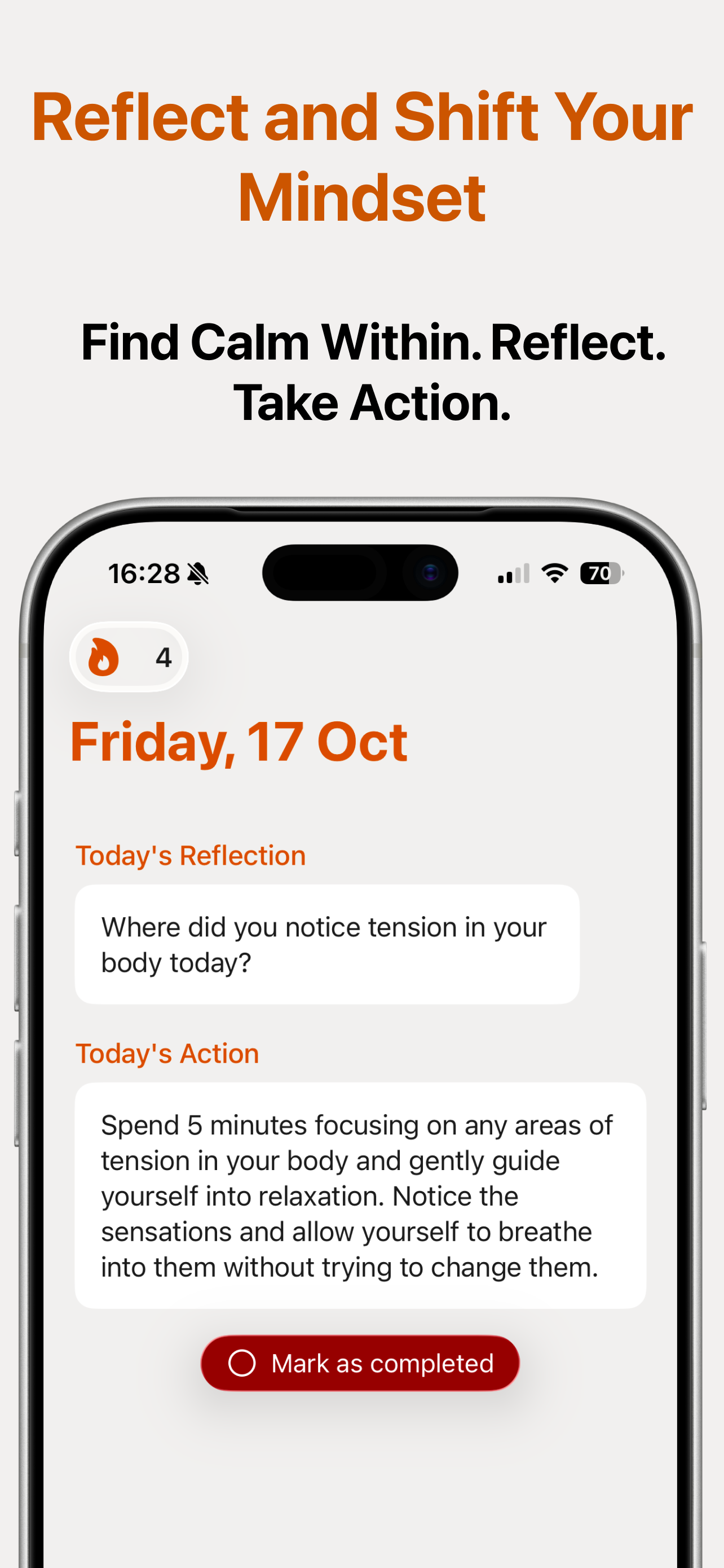 Mindreflect - Screenshot 2 showing product features and functionality