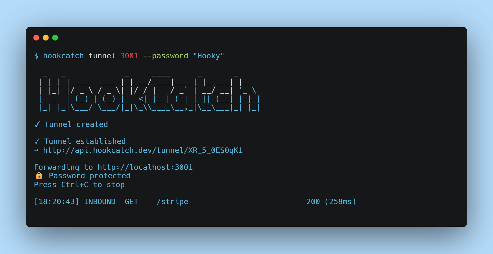 HookCatch - Screenshot 3 showing product features and functionality