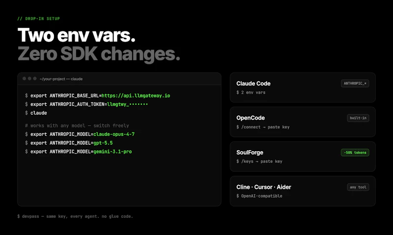 DevPass by LLM Gateway screenshot 4