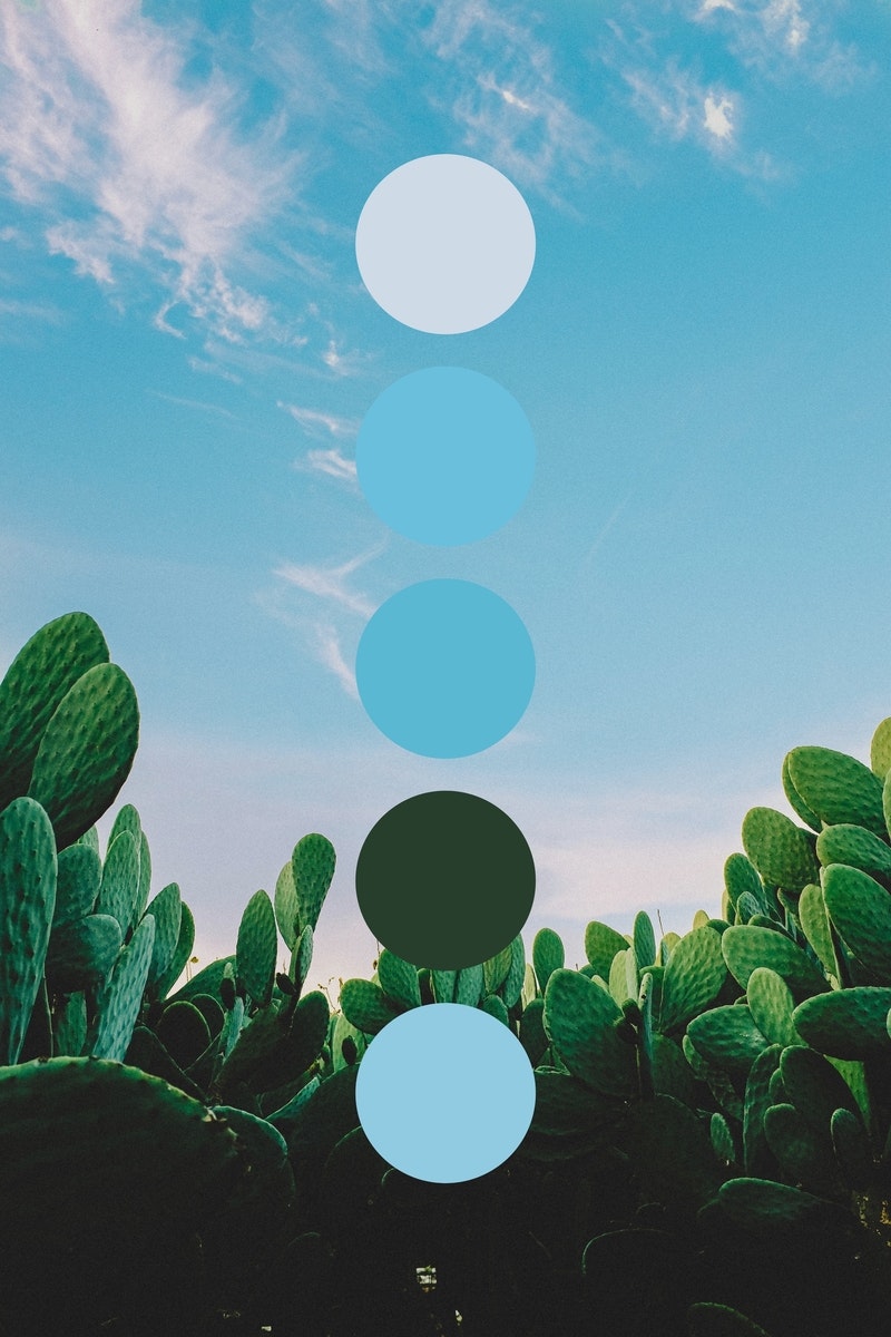 colorpalettes.earth gallery image