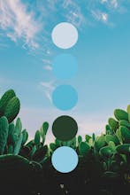 colorpalettes.earth gallery image