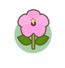 Polline