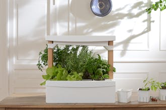 Fresh Square gallery image