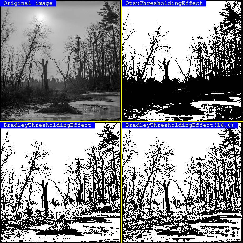 Spread Studio gallery image