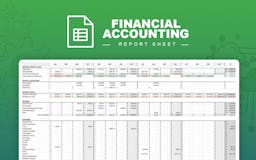 Financial Accounting Report Sheet media 2