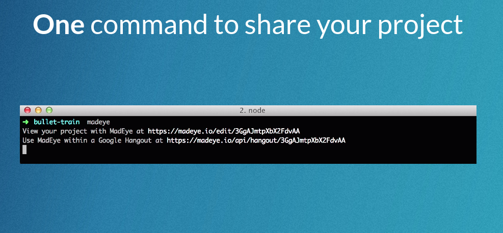 MadEye gallery image