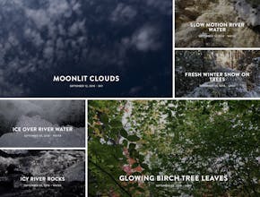 Free Nature Stock Videos gallery image