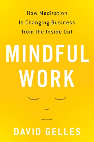 Mindful Work (book)