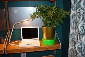 Goldoon: Smart Self-watering Planter gallery image