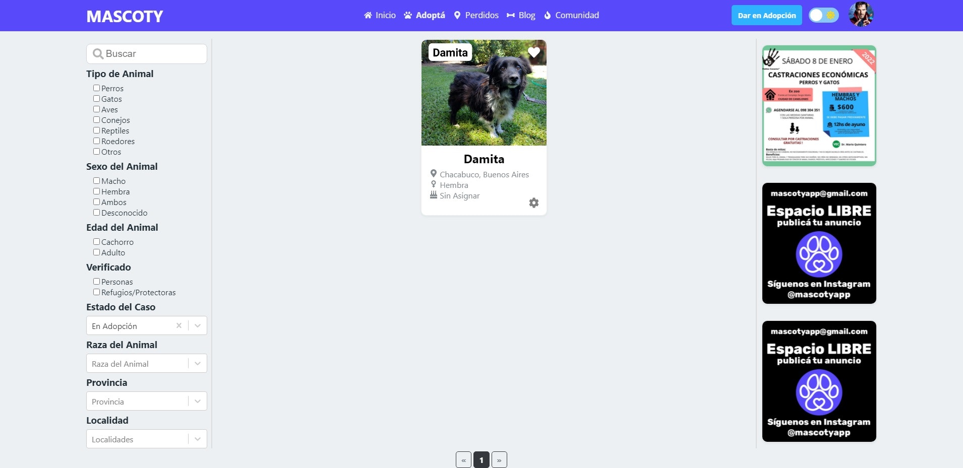 Mascoty gallery image