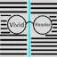 Vivid Reader